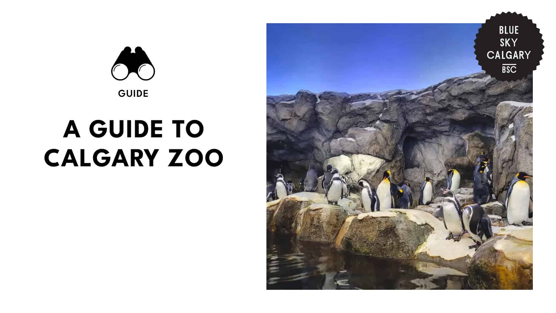 calgary-zoo