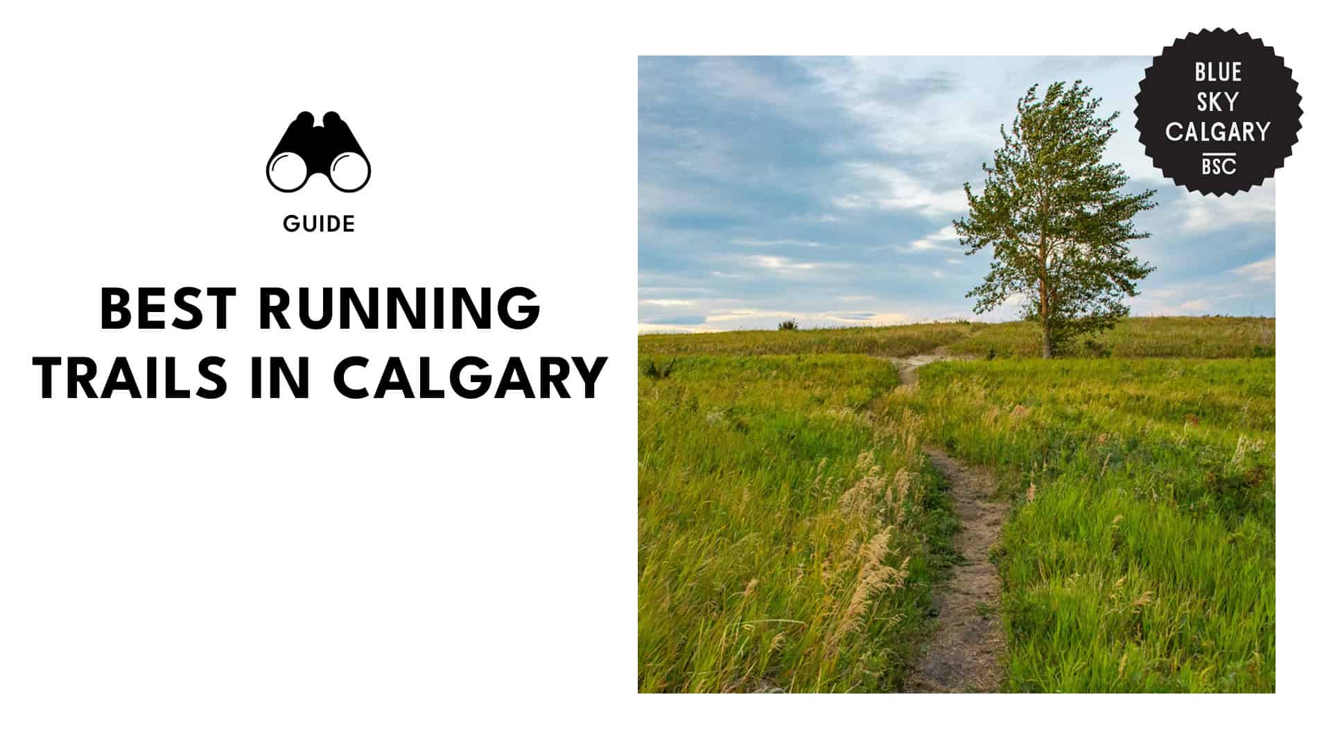 scenic-trails-in-calgary