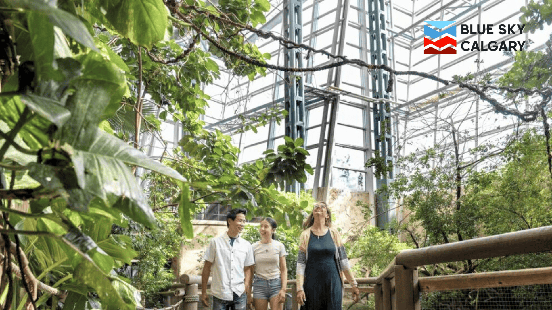 enjoy-an-escape-game-with-a-twist-at-locked-zoo-dress-code