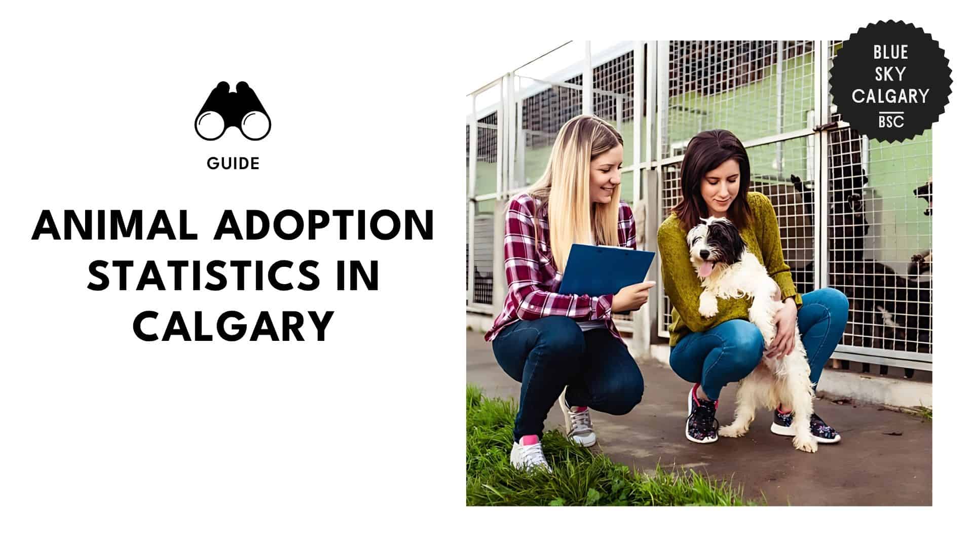 animal-adoption-in-calgary