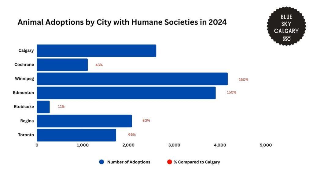 animal-adoptions-by-city-with-humane-societies-in-2024