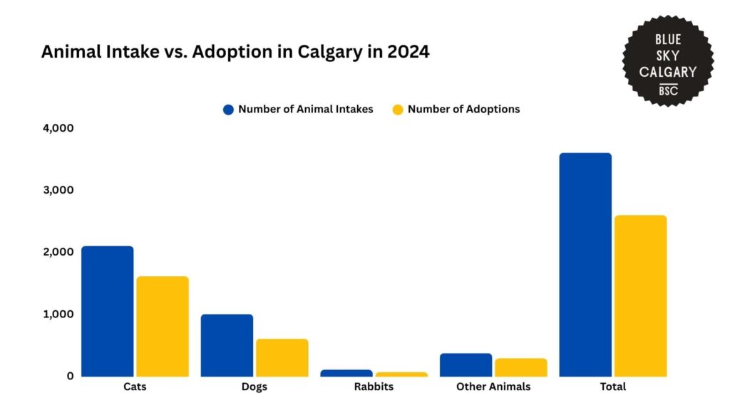 animal-intake-vs-adoption-in-calgary-in-2024