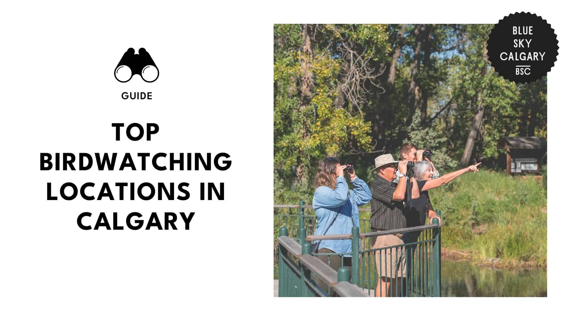birdwatching-spots-in-calgary