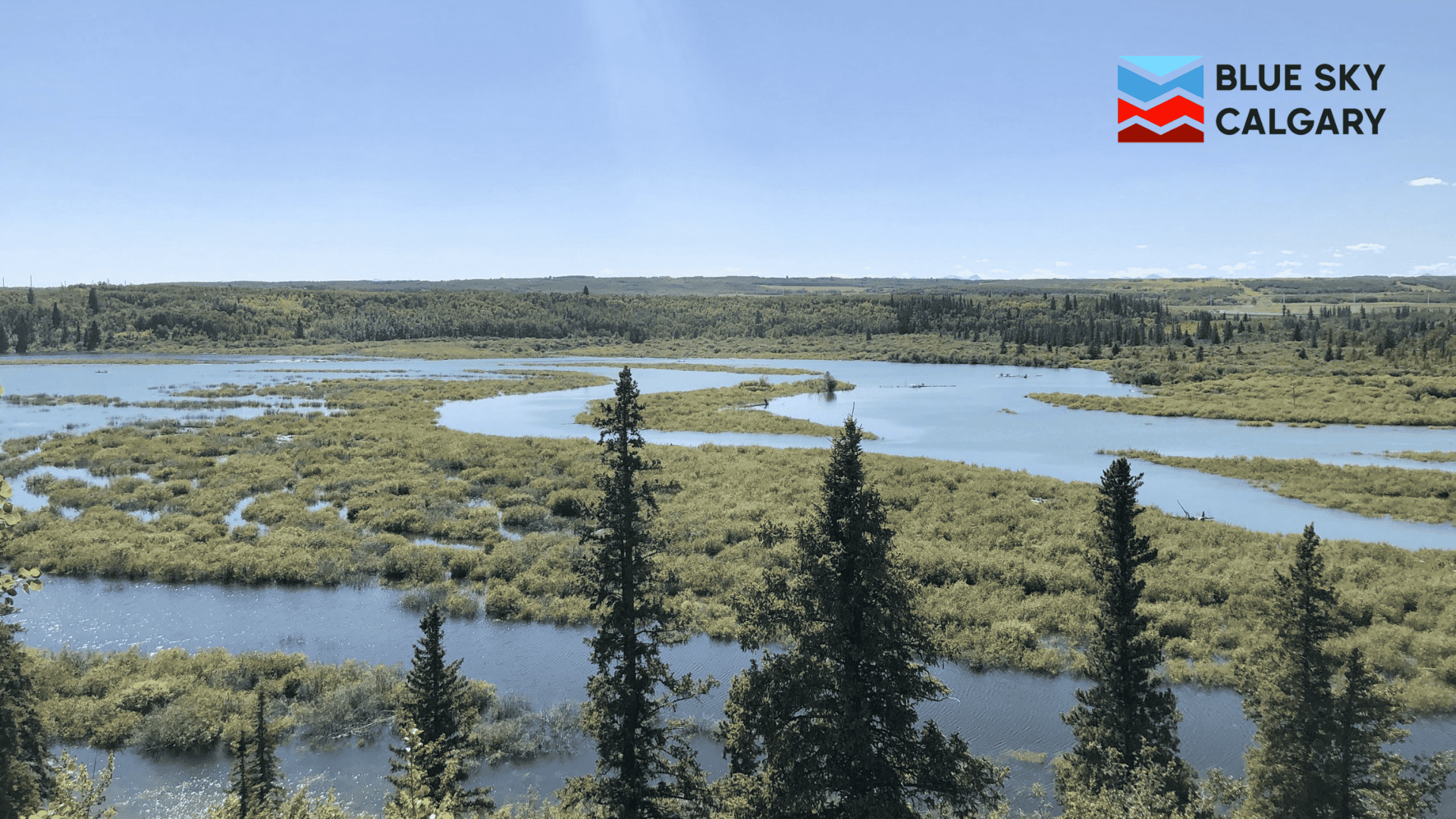 explore-the-weaselhead-flats-with-the-alberta-community-bat-program