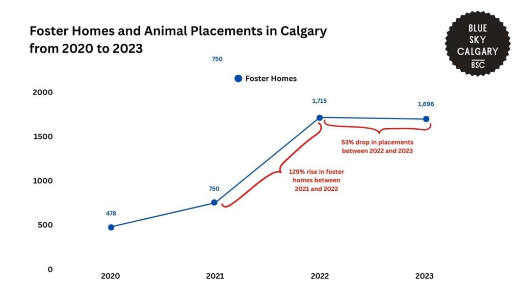foster-homes-and-animal-placements-in-calgary-from-2020-to-2023