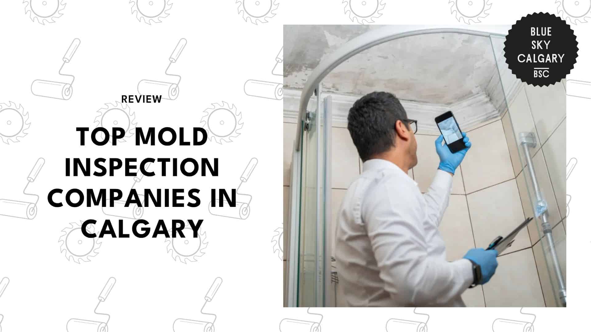 mold-inspection-companies-in-calgary