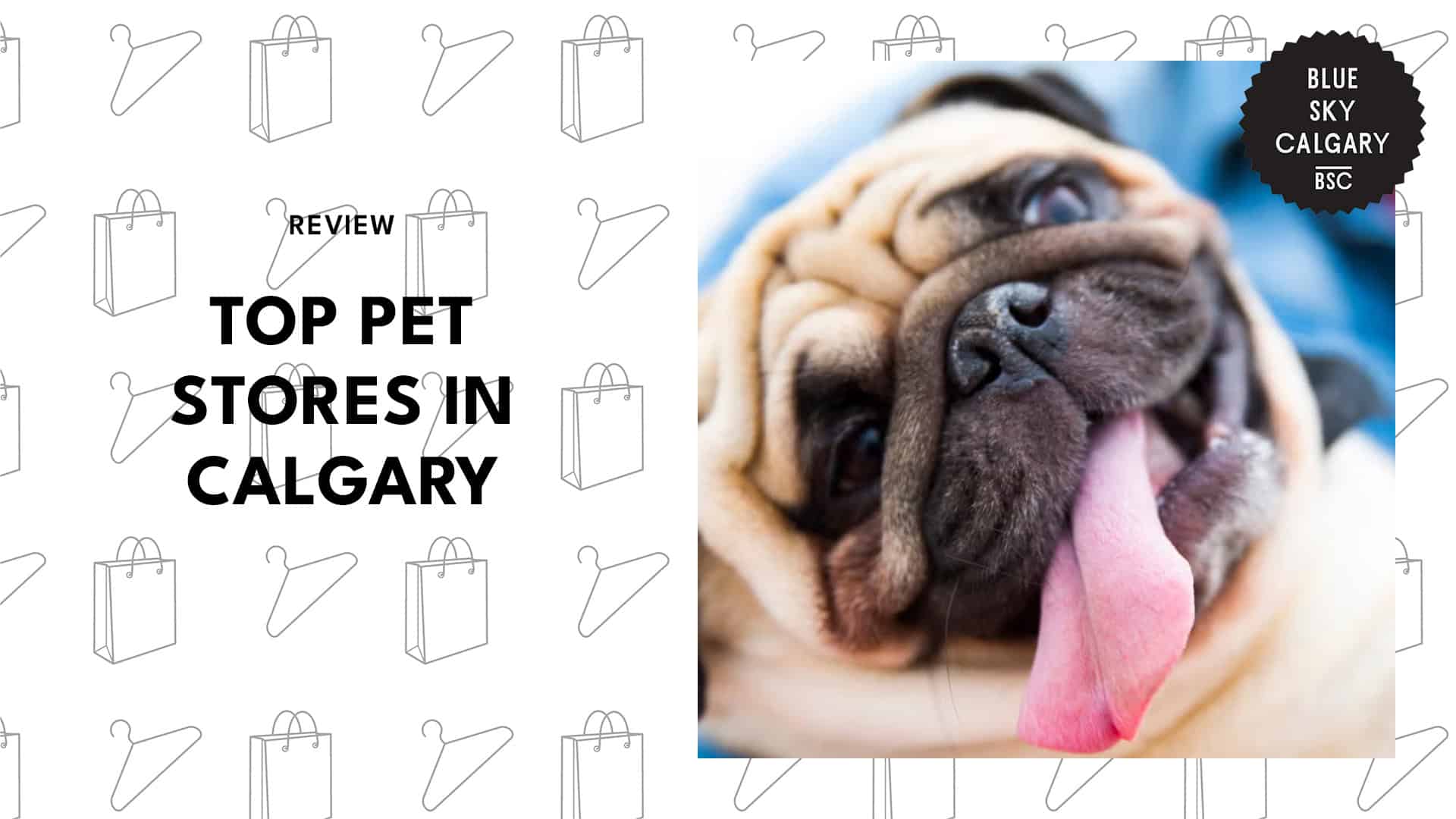 pet-stores-in-calgary