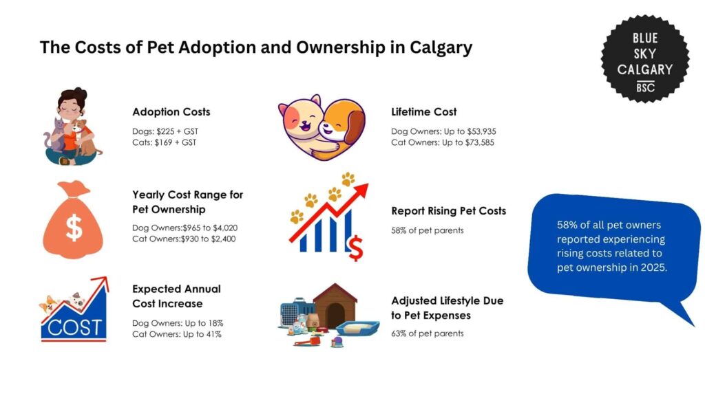 the-costs-of-pet-adoption-and-ownership-in-calgary