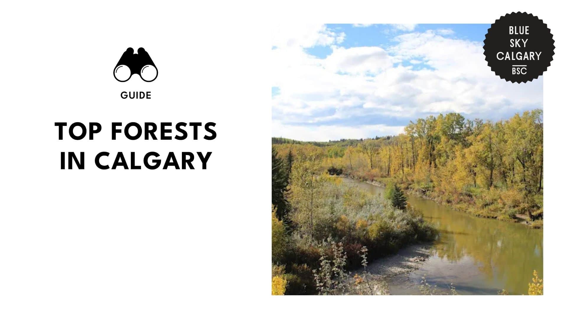forests-in-calgary