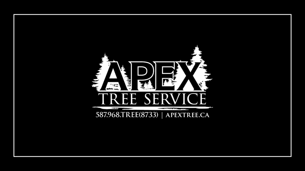 apex-tree-service-ltd