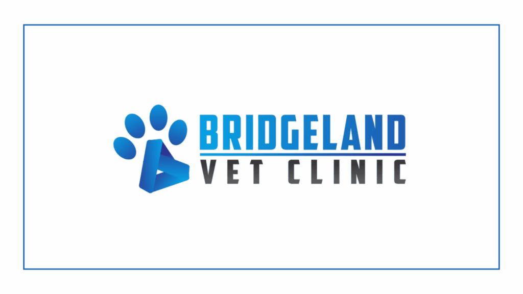 bridgeland-vet-clinic