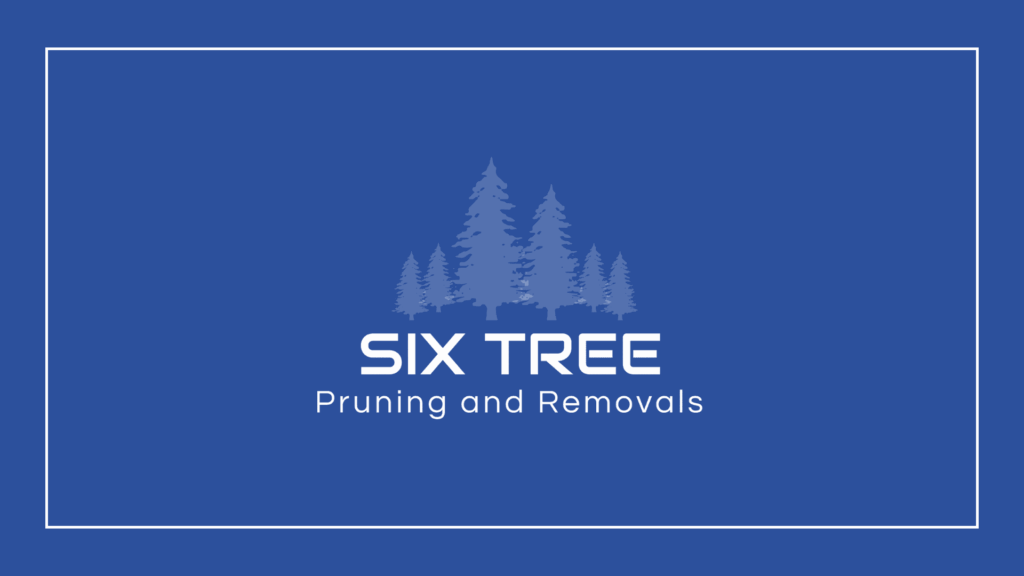 six-tree-calgary