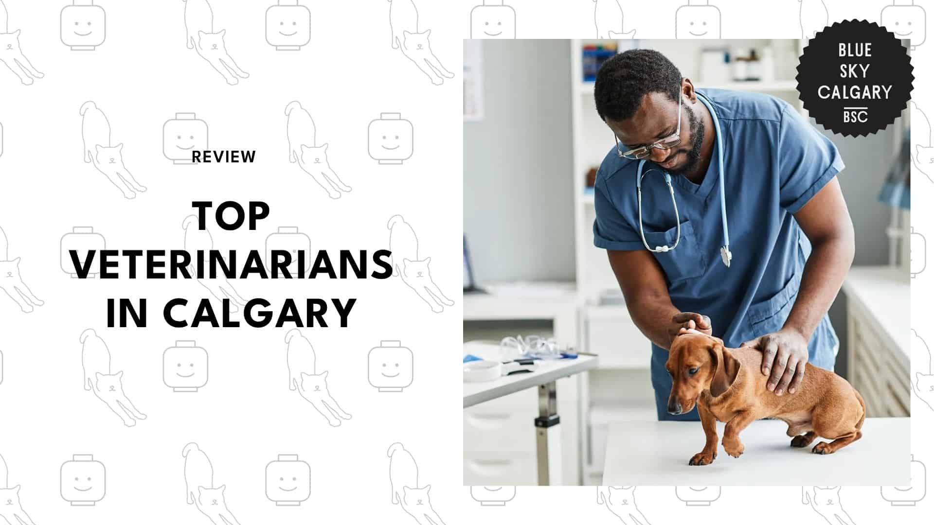 veterinarians-in-calgary