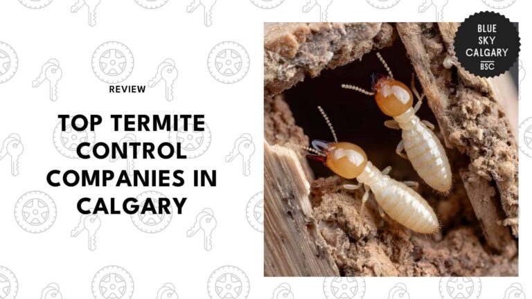 Calgary’s Top 5 Termite Control Pros for Total Protection [2026 ]