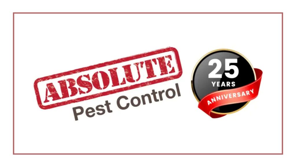 absolute-pest-control-services-inc