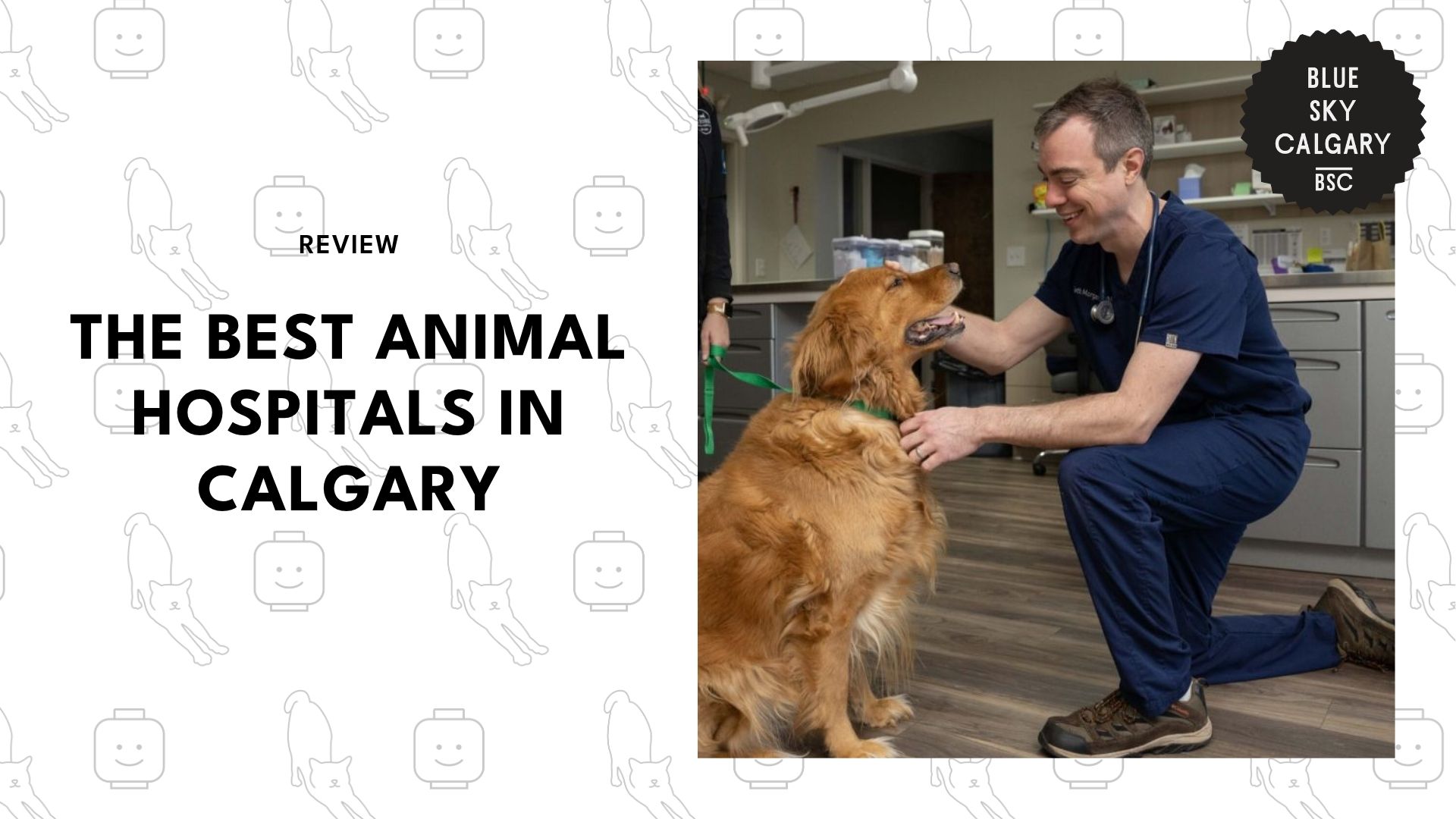 best-animal-hospitals-calgary-banner