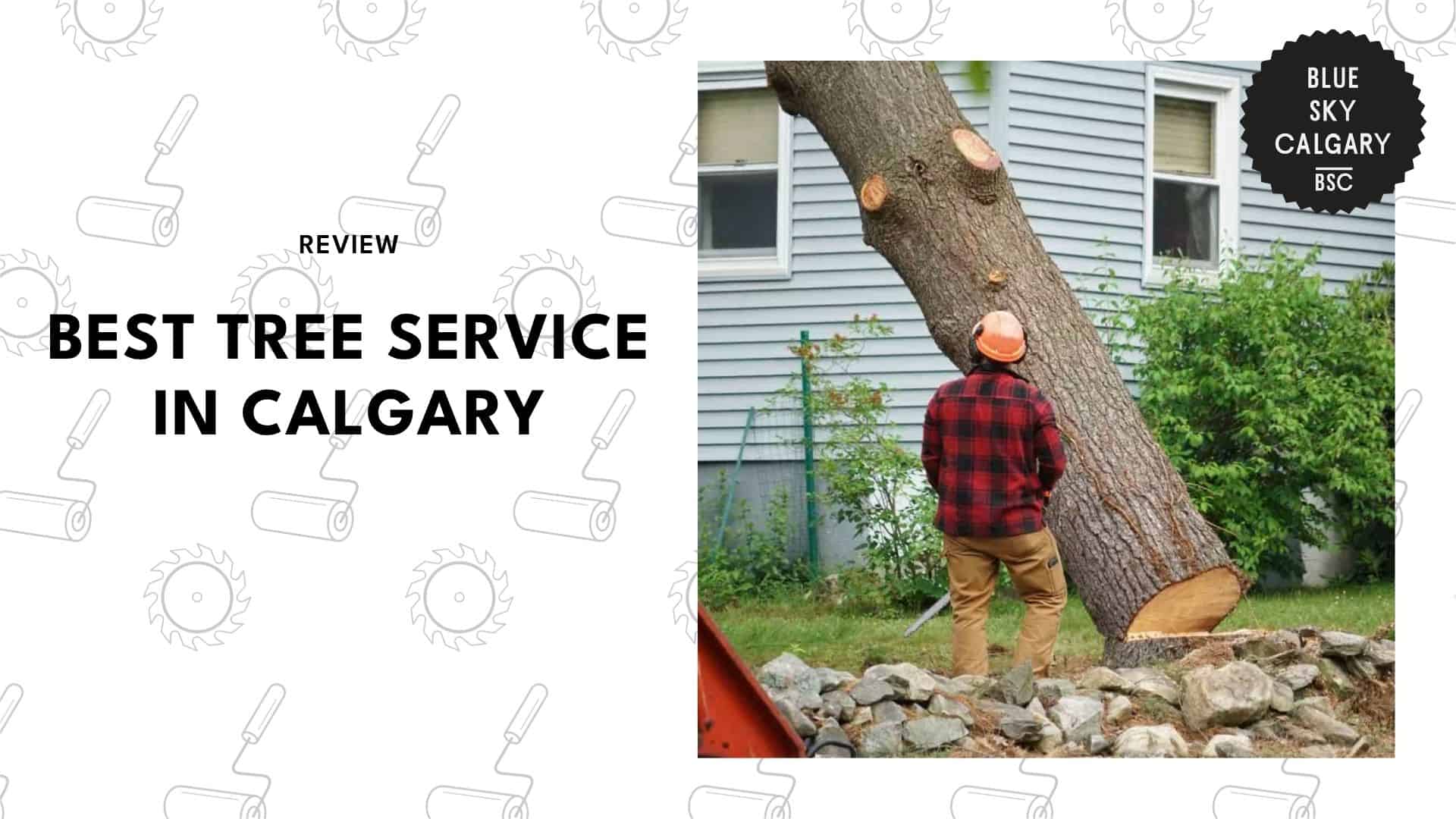 tree-services-in-calgary