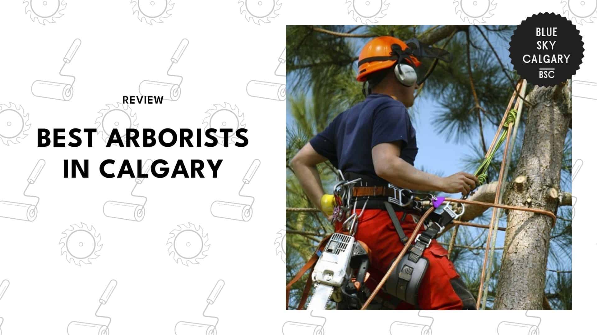 best-arborists-calgary
