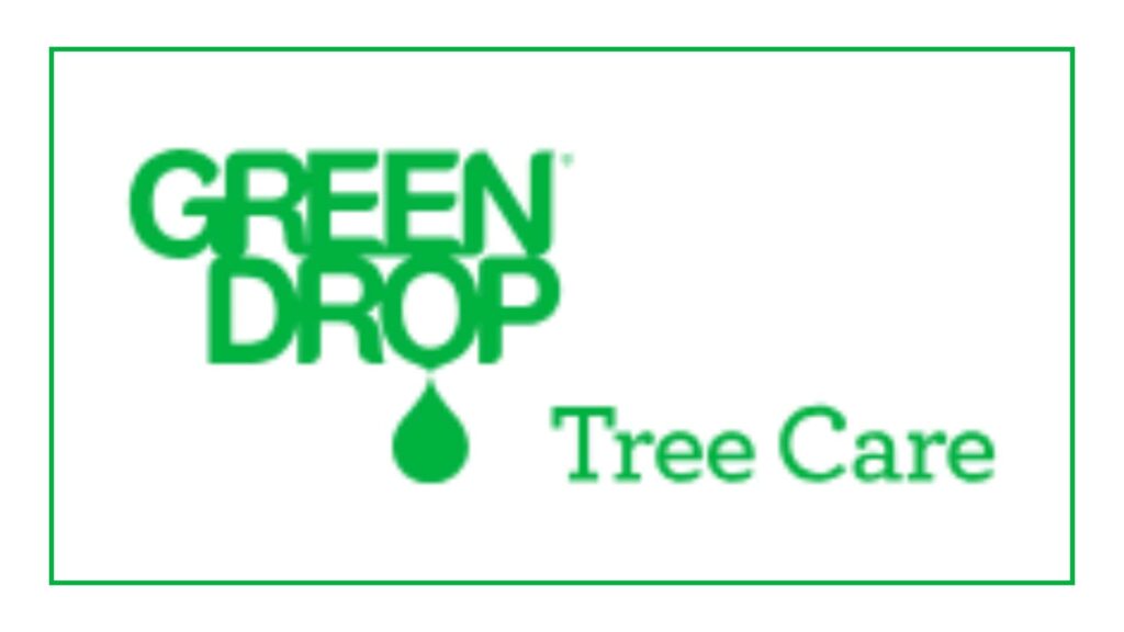 green-drop-tree-care