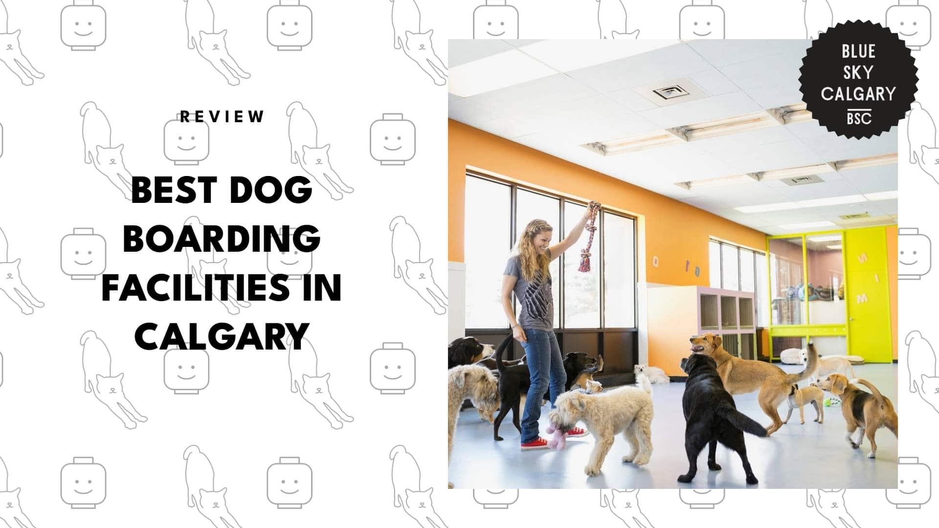 best-dog-boarding-calgary