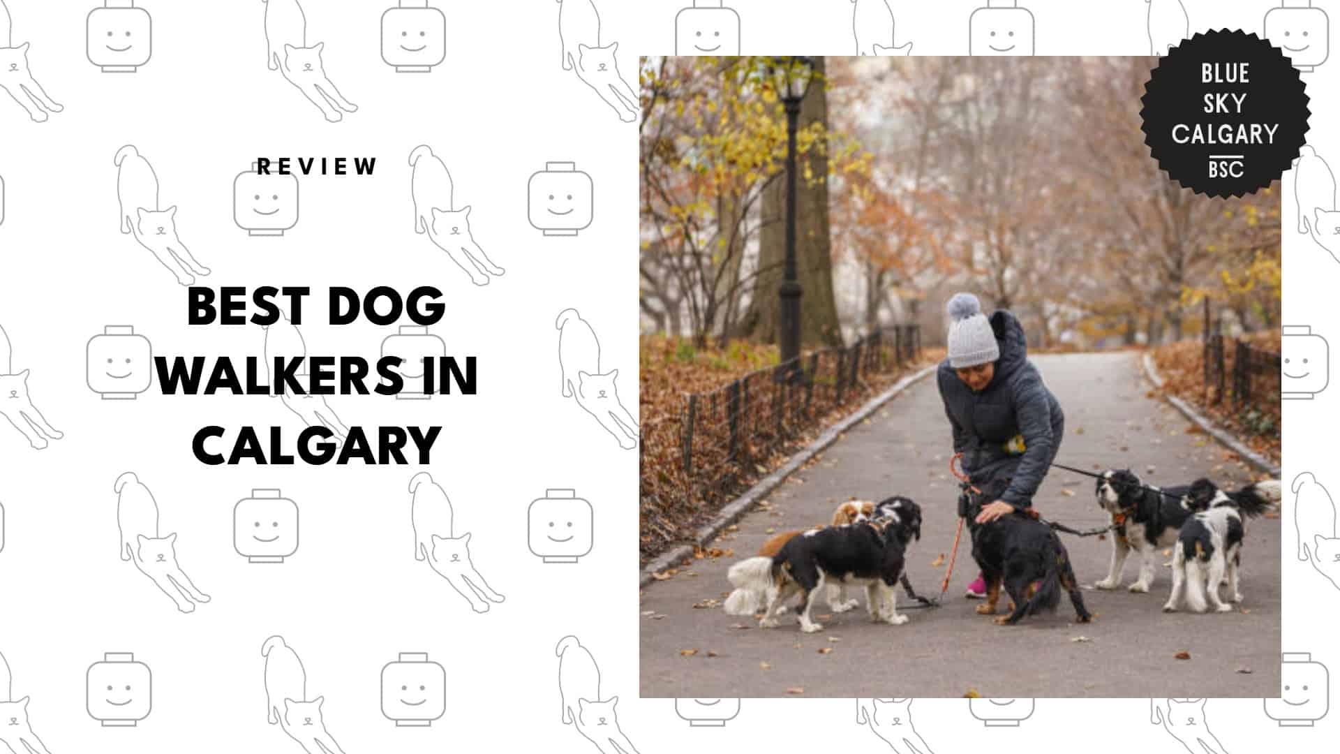best-dog-walker-calgary