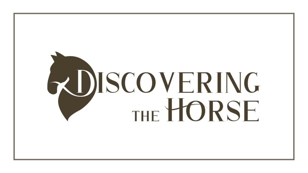 discovering-the-horse-ltd-logo